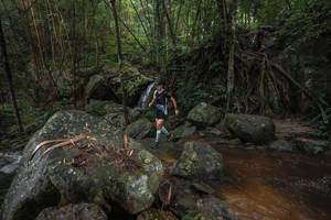 BIB: 
                            <button type="button" onclick="openModal(25187359)" class="btn btn-primary btn-sm float-right btn-popup" data-toggle="modal" data-target=".modal-high-quality">
                        <i class="fas fa-shopping-cart"></i> Add to Cart
                    </button>
                                            <button type="button" onclick="isThisMe(25187359, true)" class="btn btn-success btn-sm float-right btn-popup btn-isme hidden" data-toggle="tooltip" data-placement="bottom" title="นี่คือรูปของคุณใช่ไหม คลิกที่นี่เพื่อเอาเข้าอัลบั้ม">
                        <i class="fas fa-plus"></i> Add to album
                    </button>
                    <button type="button" onclick="isThisMe(25187359, false)" class="btn btn-warning btn-sm float-right btn-popup btn-isnotme hidden">
                        <i class="fas fa-ban"></i> Remove from album
                    </button>