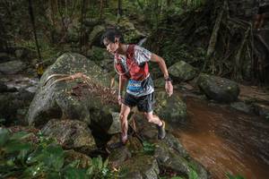 BIB: 
                            <button type="button" onclick="openModal(25186877)" class="btn btn-primary btn-sm float-right btn-popup" data-toggle="modal" data-target=".modal-high-quality">
                        <i class="fas fa-shopping-cart"></i> Add to Cart
                    </button>
                                            <button type="button" onclick="isThisMe(25186877, true)" class="btn btn-success btn-sm float-right btn-popup btn-isme hidden" data-toggle="tooltip" data-placement="bottom" title="นี่คือรูปของคุณใช่ไหม คลิกที่นี่เพื่อเอาเข้าอัลบั้ม">
                        <i class="fas fa-plus"></i> Add to album
                    </button>
                    <button type="button" onclick="isThisMe(25186877, false)" class="btn btn-warning btn-sm float-right btn-popup btn-isnotme hidden">
                        <i class="fas fa-ban"></i> Remove from album
                    </button>