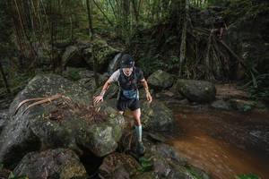 BIB: 
                            <button type="button" onclick="openModal(25187360)" class="btn btn-primary btn-sm float-right btn-popup" data-toggle="modal" data-target=".modal-high-quality">
                        <i class="fas fa-shopping-cart"></i> Add to Cart
                    </button>
                                            <button type="button" onclick="isThisMe(25187360, true)" class="btn btn-success btn-sm float-right btn-popup btn-isme hidden" data-toggle="tooltip" data-placement="bottom" title="นี่คือรูปของคุณใช่ไหม คลิกที่นี่เพื่อเอาเข้าอัลบั้ม">
                        <i class="fas fa-plus"></i> Add to album
                    </button>
                    <button type="button" onclick="isThisMe(25187360, false)" class="btn btn-warning btn-sm float-right btn-popup btn-isnotme hidden">
                        <i class="fas fa-ban"></i> Remove from album
                    </button>