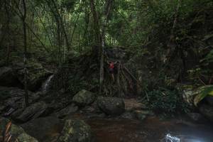 BIB: 
                            <button type="button" onclick="openModal(25186623)" class="btn btn-primary btn-sm float-right btn-popup" data-toggle="modal" data-target=".modal-high-quality">
                        <i class="fas fa-shopping-cart"></i> Add to Cart
                    </button>
                                            <button type="button" onclick="isThisMe(25186623, true)" class="btn btn-success btn-sm float-right btn-popup btn-isme hidden" data-toggle="tooltip" data-placement="bottom" title="นี่คือรูปของคุณใช่ไหม คลิกที่นี่เพื่อเอาเข้าอัลบั้ม">
                        <i class="fas fa-plus"></i> Add to album
                    </button>
                    <button type="button" onclick="isThisMe(25186623, false)" class="btn btn-warning btn-sm float-right btn-popup btn-isnotme hidden">
                        <i class="fas fa-ban"></i> Remove from album
                    </button>