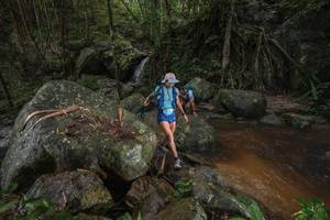 BIB: 
                            <button type="button" onclick="openModal(25187410)" class="btn btn-primary btn-sm float-right btn-popup" data-toggle="modal" data-target=".modal-high-quality">
                        <i class="fas fa-shopping-cart"></i> Add to Cart
                    </button>
                                            <button type="button" onclick="isThisMe(25187410, true)" class="btn btn-success btn-sm float-right btn-popup btn-isme hidden" data-toggle="tooltip" data-placement="bottom" title="นี่คือรูปของคุณใช่ไหม คลิกที่นี่เพื่อเอาเข้าอัลบั้ม">
                        <i class="fas fa-plus"></i> Add to album
                    </button>
                    <button type="button" onclick="isThisMe(25187410, false)" class="btn btn-warning btn-sm float-right btn-popup btn-isnotme hidden">
                        <i class="fas fa-ban"></i> Remove from album
                    </button>