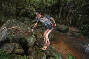 BIB: 
                            <button type="button" onclick="openModal(25186903)" class="btn btn-primary btn-sm float-right btn-popup" data-toggle="modal" data-target=".modal-high-quality">
                        <i class="fas fa-shopping-cart"></i> Add to Cart
                    </button>
                                            <button type="button" onclick="isThisMe(25186903, true)" class="btn btn-success btn-sm float-right btn-popup btn-isme hidden" data-toggle="tooltip" data-placement="bottom" title="นี่คือรูปของคุณใช่ไหม คลิกที่นี่เพื่อเอาเข้าอัลบั้ม">
                        <i class="fas fa-plus"></i> Add to album
                    </button>
                    <button type="button" onclick="isThisMe(25186903, false)" class="btn btn-warning btn-sm float-right btn-popup btn-isnotme hidden">
                        <i class="fas fa-ban"></i> Remove from album
                    </button>