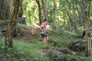 BIB: 
                            <button type="button" onclick="openModal(25190485)" class="btn btn-primary btn-sm float-right btn-popup" data-toggle="modal" data-target=".modal-high-quality">
                        <i class="fas fa-shopping-cart"></i> Add to Cart
                    </button>
                                            <button type="button" onclick="isThisMe(25190485, true)" class="btn btn-success btn-sm float-right btn-popup btn-isme hidden" data-toggle="tooltip" data-placement="bottom" title="นี่คือรูปของคุณใช่ไหม คลิกที่นี่เพื่อเอาเข้าอัลบั้ม">
                        <i class="fas fa-plus"></i> Add to album
                    </button>
                    <button type="button" onclick="isThisMe(25190485, false)" class="btn btn-warning btn-sm float-right btn-popup btn-isnotme hidden">
                        <i class="fas fa-ban"></i> Remove from album
                    </button>