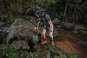 BIB: 
                            <button type="button" onclick="openModal(25187182)" class="btn btn-primary btn-sm float-right btn-popup" data-toggle="modal" data-target=".modal-high-quality">
                        <i class="fas fa-shopping-cart"></i> Add to Cart
                    </button>
                                            <button type="button" onclick="isThisMe(25187182, true)" class="btn btn-success btn-sm float-right btn-popup btn-isme hidden" data-toggle="tooltip" data-placement="bottom" title="นี่คือรูปของคุณใช่ไหม คลิกที่นี่เพื่อเอาเข้าอัลบั้ม">
                        <i class="fas fa-plus"></i> Add to album
                    </button>
                    <button type="button" onclick="isThisMe(25187182, false)" class="btn btn-warning btn-sm float-right btn-popup btn-isnotme hidden">
                        <i class="fas fa-ban"></i> Remove from album
                    </button>