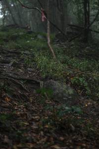 BIB: 
                            <button type="button" onclick="openModal(25190546)" class="btn btn-primary btn-sm float-right btn-popup" data-toggle="modal" data-target=".modal-high-quality">
                        <i class="fas fa-shopping-cart"></i> Add to Cart
                    </button>
                                            <button type="button" onclick="isThisMe(25190546, true)" class="btn btn-success btn-sm float-right btn-popup btn-isme hidden" data-toggle="tooltip" data-placement="bottom" title="นี่คือรูปของคุณใช่ไหม คลิกที่นี่เพื่อเอาเข้าอัลบั้ม">
                        <i class="fas fa-plus"></i> Add to album
                    </button>
                    <button type="button" onclick="isThisMe(25190546, false)" class="btn btn-warning btn-sm float-right btn-popup btn-isnotme hidden">
                        <i class="fas fa-ban"></i> Remove from album
                    </button>