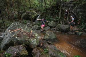 BIB: 
                            <button type="button" onclick="openModal(25187748)" class="btn btn-primary btn-sm float-right btn-popup" data-toggle="modal" data-target=".modal-high-quality">
                        <i class="fas fa-shopping-cart"></i> Add to Cart
                    </button>
                                            <button type="button" onclick="isThisMe(25187748, true)" class="btn btn-success btn-sm float-right btn-popup btn-isme hidden" data-toggle="tooltip" data-placement="bottom" title="นี่คือรูปของคุณใช่ไหม คลิกที่นี่เพื่อเอาเข้าอัลบั้ม">
                        <i class="fas fa-plus"></i> Add to album
                    </button>
                    <button type="button" onclick="isThisMe(25187748, false)" class="btn btn-warning btn-sm float-right btn-popup btn-isnotme hidden">
                        <i class="fas fa-ban"></i> Remove from album
                    </button>