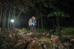 BIB: 
                            <button type="button" onclick="openModal(25194956)" class="btn btn-primary btn-sm float-right btn-popup" data-toggle="modal" data-target=".modal-high-quality">
                        <i class="fas fa-shopping-cart"></i> Add to Cart
                    </button>
                                            <button type="button" onclick="isThisMe(25194956, true)" class="btn btn-success btn-sm float-right btn-popup btn-isme hidden" data-toggle="tooltip" data-placement="bottom" title="นี่คือรูปของคุณใช่ไหม คลิกที่นี่เพื่อเอาเข้าอัลบั้ม">
                        <i class="fas fa-plus"></i> Add to album
                    </button>
                    <button type="button" onclick="isThisMe(25194956, false)" class="btn btn-warning btn-sm float-right btn-popup btn-isnotme hidden">
                        <i class="fas fa-ban"></i> Remove from album
                    </button>