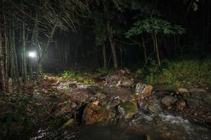 BIB: 
                            <button type="button" onclick="openModal(25194013)" class="btn btn-primary btn-sm float-right btn-popup" data-toggle="modal" data-target=".modal-high-quality">
                        <i class="fas fa-shopping-cart"></i> Add to Cart
                    </button>
                                            <button type="button" onclick="isThisMe(25194013, true)" class="btn btn-success btn-sm float-right btn-popup btn-isme hidden" data-toggle="tooltip" data-placement="bottom" title="นี่คือรูปของคุณใช่ไหม คลิกที่นี่เพื่อเอาเข้าอัลบั้ม">
                        <i class="fas fa-plus"></i> Add to album
                    </button>
                    <button type="button" onclick="isThisMe(25194013, false)" class="btn btn-warning btn-sm float-right btn-popup btn-isnotme hidden">
                        <i class="fas fa-ban"></i> Remove from album
                    </button>