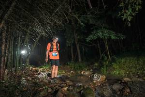 BIB: 
                            <button type="button" onclick="openModal(25194076)" class="btn btn-primary btn-sm float-right btn-popup" data-toggle="modal" data-target=".modal-high-quality">
                        <i class="fas fa-shopping-cart"></i> Add to Cart
                    </button>
                                            <button type="button" onclick="isThisMe(25194076, true)" class="btn btn-success btn-sm float-right btn-popup btn-isme hidden" data-toggle="tooltip" data-placement="bottom" title="นี่คือรูปของคุณใช่ไหม คลิกที่นี่เพื่อเอาเข้าอัลบั้ม">
                        <i class="fas fa-plus"></i> Add to album
                    </button>
                    <button type="button" onclick="isThisMe(25194076, false)" class="btn btn-warning btn-sm float-right btn-popup btn-isnotme hidden">
                        <i class="fas fa-ban"></i> Remove from album
                    </button>