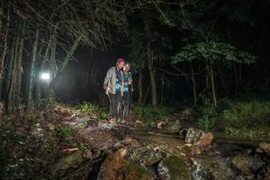 BIB: 
                            <button type="button" onclick="openModal(25194957)" class="btn btn-primary btn-sm float-right btn-popup" data-toggle="modal" data-target=".modal-high-quality">
                        <i class="fas fa-shopping-cart"></i> Add to Cart
                    </button>
                                            <button type="button" onclick="isThisMe(25194957, true)" class="btn btn-success btn-sm float-right btn-popup btn-isme hidden" data-toggle="tooltip" data-placement="bottom" title="นี่คือรูปของคุณใช่ไหม คลิกที่นี่เพื่อเอาเข้าอัลบั้ม">
                        <i class="fas fa-plus"></i> Add to album
                    </button>
                    <button type="button" onclick="isThisMe(25194957, false)" class="btn btn-warning btn-sm float-right btn-popup btn-isnotme hidden">
                        <i class="fas fa-ban"></i> Remove from album
                    </button>