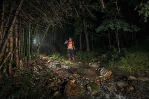 BIB: 
                            <button type="button" onclick="openModal(25194254)" class="btn btn-primary btn-sm float-right btn-popup" data-toggle="modal" data-target=".modal-high-quality">
                        <i class="fas fa-shopping-cart"></i> Add to Cart
                    </button>
                                            <button type="button" onclick="isThisMe(25194254, true)" class="btn btn-success btn-sm float-right btn-popup btn-isme hidden" data-toggle="tooltip" data-placement="bottom" title="นี่คือรูปของคุณใช่ไหม คลิกที่นี่เพื่อเอาเข้าอัลบั้ม">
                        <i class="fas fa-plus"></i> Add to album
                    </button>
                    <button type="button" onclick="isThisMe(25194254, false)" class="btn btn-warning btn-sm float-right btn-popup btn-isnotme hidden">
                        <i class="fas fa-ban"></i> Remove from album
                    </button>