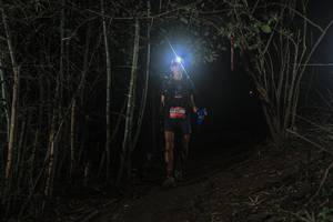 BIB: 
                            <button type="button" onclick="openModal(25069248)" class="btn btn-primary btn-sm float-right btn-popup" data-toggle="modal" data-target=".modal-high-quality">
                        <i class="fas fa-shopping-cart"></i> Add to Cart
                    </button>
                                            <button type="button" onclick="isThisMe(25069248, true)" class="btn btn-success btn-sm float-right btn-popup btn-isme hidden" data-toggle="tooltip" data-placement="bottom" title="นี่คือรูปของคุณใช่ไหม คลิกที่นี่เพื่อเอาเข้าอัลบั้ม">
                        <i class="fas fa-plus"></i> Add to album
                    </button>
                    <button type="button" onclick="isThisMe(25069248, false)" class="btn btn-warning btn-sm float-right btn-popup btn-isnotme hidden">
                        <i class="fas fa-ban"></i> Remove from album
                    </button>