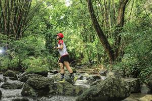 BIB: 
                            <button type="button" onclick="openModal(25102336)" class="btn btn-primary btn-sm float-right btn-popup" data-toggle="modal" data-target=".modal-high-quality">
                        <i class="fas fa-shopping-cart"></i> Add to Cart
                    </button>
                                            <button type="button" onclick="isThisMe(25102336, true)" class="btn btn-success btn-sm float-right btn-popup btn-isme hidden" data-toggle="tooltip" data-placement="bottom" title="นี่คือรูปของคุณใช่ไหม คลิกที่นี่เพื่อเอาเข้าอัลบั้ม">
                        <i class="fas fa-plus"></i> Add to album
                    </button>
                    <button type="button" onclick="isThisMe(25102336, false)" class="btn btn-warning btn-sm float-right btn-popup btn-isnotme hidden">
                        <i class="fas fa-ban"></i> Remove from album
                    </button>