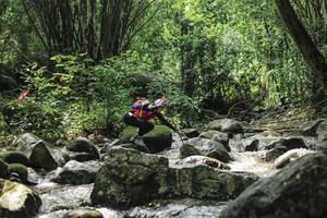 BIB: 
                            <button type="button" onclick="openModal(25105325)" class="btn btn-primary btn-sm float-right btn-popup" data-toggle="modal" data-target=".modal-high-quality">
                        <i class="fas fa-shopping-cart"></i> Add to Cart
                    </button>
                                            <button type="button" onclick="isThisMe(25105325, true)" class="btn btn-success btn-sm float-right btn-popup btn-isme hidden" data-toggle="tooltip" data-placement="bottom" title="นี่คือรูปของคุณใช่ไหม คลิกที่นี่เพื่อเอาเข้าอัลบั้ม">
                        <i class="fas fa-plus"></i> Add to album
                    </button>
                    <button type="button" onclick="isThisMe(25105325, false)" class="btn btn-warning btn-sm float-right btn-popup btn-isnotme hidden">
                        <i class="fas fa-ban"></i> Remove from album
                    </button>