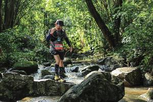 BIB: 
                            <button type="button" onclick="openModal(25105574)" class="btn btn-primary btn-sm float-right btn-popup" data-toggle="modal" data-target=".modal-high-quality">
                        <i class="fas fa-shopping-cart"></i> Add to Cart
                    </button>
                                            <button type="button" onclick="isThisMe(25105574, true)" class="btn btn-success btn-sm float-right btn-popup btn-isme hidden" data-toggle="tooltip" data-placement="bottom" title="นี่คือรูปของคุณใช่ไหม คลิกที่นี่เพื่อเอาเข้าอัลบั้ม">
                        <i class="fas fa-plus"></i> Add to album
                    </button>
                    <button type="button" onclick="isThisMe(25105574, false)" class="btn btn-warning btn-sm float-right btn-popup btn-isnotme hidden">
                        <i class="fas fa-ban"></i> Remove from album
                    </button>