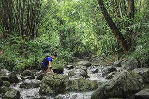 BIB: 
                            <button type="button" onclick="openModal(25102946)" class="btn btn-primary btn-sm float-right btn-popup" data-toggle="modal" data-target=".modal-high-quality">
                        <i class="fas fa-shopping-cart"></i> Add to Cart
                    </button>
                                            <button type="button" onclick="isThisMe(25102946, true)" class="btn btn-success btn-sm float-right btn-popup btn-isme hidden" data-toggle="tooltip" data-placement="bottom" title="นี่คือรูปของคุณใช่ไหม คลิกที่นี่เพื่อเอาเข้าอัลบั้ม">
                        <i class="fas fa-plus"></i> Add to album
                    </button>
                    <button type="button" onclick="isThisMe(25102946, false)" class="btn btn-warning btn-sm float-right btn-popup btn-isnotme hidden">
                        <i class="fas fa-ban"></i> Remove from album
                    </button>