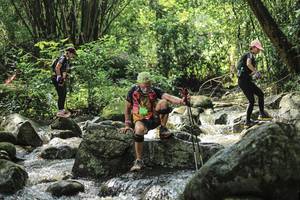 BIB: 
                            <button type="button" onclick="openModal(25104528)" class="btn btn-primary btn-sm float-right btn-popup" data-toggle="modal" data-target=".modal-high-quality">
                        <i class="fas fa-shopping-cart"></i> Add to Cart
                    </button>
                                            <button type="button" onclick="isThisMe(25104528, true)" class="btn btn-success btn-sm float-right btn-popup btn-isme hidden" data-toggle="tooltip" data-placement="bottom" title="นี่คือรูปของคุณใช่ไหม คลิกที่นี่เพื่อเอาเข้าอัลบั้ม">
                        <i class="fas fa-plus"></i> Add to album
                    </button>
                    <button type="button" onclick="isThisMe(25104528, false)" class="btn btn-warning btn-sm float-right btn-popup btn-isnotme hidden">
                        <i class="fas fa-ban"></i> Remove from album
                    </button>