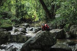 BIB: 
                            <button type="button" onclick="openModal(25105346)" class="btn btn-primary btn-sm float-right btn-popup" data-toggle="modal" data-target=".modal-high-quality">
                        <i class="fas fa-shopping-cart"></i> Add to Cart
                    </button>
                                            <button type="button" onclick="isThisMe(25105346, true)" class="btn btn-success btn-sm float-right btn-popup btn-isme hidden" data-toggle="tooltip" data-placement="bottom" title="นี่คือรูปของคุณใช่ไหม คลิกที่นี่เพื่อเอาเข้าอัลบั้ม">
                        <i class="fas fa-plus"></i> Add to album
                    </button>
                    <button type="button" onclick="isThisMe(25105346, false)" class="btn btn-warning btn-sm float-right btn-popup btn-isnotme hidden">
                        <i class="fas fa-ban"></i> Remove from album
                    </button>