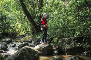 BIB: 
                            <button type="button" onclick="openModal(25105496)" class="btn btn-primary btn-sm float-right btn-popup" data-toggle="modal" data-target=".modal-high-quality">
                        <i class="fas fa-shopping-cart"></i> Add to Cart
                    </button>
                                            <button type="button" onclick="isThisMe(25105496, true)" class="btn btn-success btn-sm float-right btn-popup btn-isme hidden" data-toggle="tooltip" data-placement="bottom" title="นี่คือรูปของคุณใช่ไหม คลิกที่นี่เพื่อเอาเข้าอัลบั้ม">
                        <i class="fas fa-plus"></i> Add to album
                    </button>
                    <button type="button" onclick="isThisMe(25105496, false)" class="btn btn-warning btn-sm float-right btn-popup btn-isnotme hidden">
                        <i class="fas fa-ban"></i> Remove from album
                    </button>