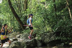 BIB: 
                            <button type="button" onclick="openModal(25104418)" class="btn btn-primary btn-sm float-right btn-popup" data-toggle="modal" data-target=".modal-high-quality">
                        <i class="fas fa-shopping-cart"></i> Add to Cart
                    </button>
                                            <button type="button" onclick="isThisMe(25104418, true)" class="btn btn-success btn-sm float-right btn-popup btn-isme hidden" data-toggle="tooltip" data-placement="bottom" title="นี่คือรูปของคุณใช่ไหม คลิกที่นี่เพื่อเอาเข้าอัลบั้ม">
                        <i class="fas fa-plus"></i> Add to album
                    </button>
                    <button type="button" onclick="isThisMe(25104418, false)" class="btn btn-warning btn-sm float-right btn-popup btn-isnotme hidden">
                        <i class="fas fa-ban"></i> Remove from album
                    </button>