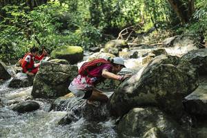 BIB: 
                            <button type="button" onclick="openModal(25104115)" class="btn btn-primary btn-sm float-right btn-popup" data-toggle="modal" data-target=".modal-high-quality">
                        <i class="fas fa-shopping-cart"></i> Add to Cart
                    </button>
                                            <button type="button" onclick="isThisMe(25104115, true)" class="btn btn-success btn-sm float-right btn-popup btn-isme hidden" data-toggle="tooltip" data-placement="bottom" title="นี่คือรูปของคุณใช่ไหม คลิกที่นี่เพื่อเอาเข้าอัลบั้ม">
                        <i class="fas fa-plus"></i> Add to album
                    </button>
                    <button type="button" onclick="isThisMe(25104115, false)" class="btn btn-warning btn-sm float-right btn-popup btn-isnotme hidden">
                        <i class="fas fa-ban"></i> Remove from album
                    </button>