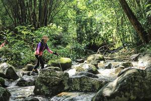 BIB: 
                            <button type="button" onclick="openModal(25104066)" class="btn btn-primary btn-sm float-right btn-popup" data-toggle="modal" data-target=".modal-high-quality">
                        <i class="fas fa-shopping-cart"></i> Add to Cart
                    </button>
                                            <button type="button" onclick="isThisMe(25104066, true)" class="btn btn-success btn-sm float-right btn-popup btn-isme hidden" data-toggle="tooltip" data-placement="bottom" title="นี่คือรูปของคุณใช่ไหม คลิกที่นี่เพื่อเอาเข้าอัลบั้ม">
                        <i class="fas fa-plus"></i> Add to album
                    </button>
                    <button type="button" onclick="isThisMe(25104066, false)" class="btn btn-warning btn-sm float-right btn-popup btn-isnotme hidden">
                        <i class="fas fa-ban"></i> Remove from album
                    </button>