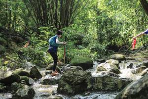 BIB: 
                            <button type="button" onclick="openModal(25104916)" class="btn btn-primary btn-sm float-right btn-popup" data-toggle="modal" data-target=".modal-high-quality">
                        <i class="fas fa-shopping-cart"></i> Add to Cart
                    </button>
                                            <button type="button" onclick="isThisMe(25104916, true)" class="btn btn-success btn-sm float-right btn-popup btn-isme hidden" data-toggle="tooltip" data-placement="bottom" title="นี่คือรูปของคุณใช่ไหม คลิกที่นี่เพื่อเอาเข้าอัลบั้ม">
                        <i class="fas fa-plus"></i> Add to album
                    </button>
                    <button type="button" onclick="isThisMe(25104916, false)" class="btn btn-warning btn-sm float-right btn-popup btn-isnotme hidden">
                        <i class="fas fa-ban"></i> Remove from album
                    </button>