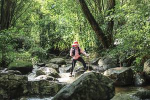 BIB: 
                            <button type="button" onclick="openModal(25105151)" class="btn btn-primary btn-sm float-right btn-popup" data-toggle="modal" data-target=".modal-high-quality">
                        <i class="fas fa-shopping-cart"></i> Add to Cart
                    </button>
                                            <button type="button" onclick="isThisMe(25105151, true)" class="btn btn-success btn-sm float-right btn-popup btn-isme hidden" data-toggle="tooltip" data-placement="bottom" title="นี่คือรูปของคุณใช่ไหม คลิกที่นี่เพื่อเอาเข้าอัลบั้ม">
                        <i class="fas fa-plus"></i> Add to album
                    </button>
                    <button type="button" onclick="isThisMe(25105151, false)" class="btn btn-warning btn-sm float-right btn-popup btn-isnotme hidden">
                        <i class="fas fa-ban"></i> Remove from album
                    </button>