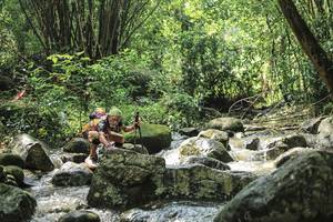 BIB: 
                            <button type="button" onclick="openModal(25104513)" class="btn btn-primary btn-sm float-right btn-popup" data-toggle="modal" data-target=".modal-high-quality">
                        <i class="fas fa-shopping-cart"></i> Add to Cart
                    </button>
                                            <button type="button" onclick="isThisMe(25104513, true)" class="btn btn-success btn-sm float-right btn-popup btn-isme hidden" data-toggle="tooltip" data-placement="bottom" title="นี่คือรูปของคุณใช่ไหม คลิกที่นี่เพื่อเอาเข้าอัลบั้ม">
                        <i class="fas fa-plus"></i> Add to album
                    </button>
                    <button type="button" onclick="isThisMe(25104513, false)" class="btn btn-warning btn-sm float-right btn-popup btn-isnotme hidden">
                        <i class="fas fa-ban"></i> Remove from album
                    </button>