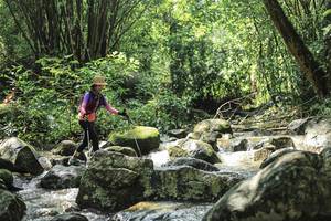 BIB: 
                            <button type="button" onclick="openModal(25104064)" class="btn btn-primary btn-sm float-right btn-popup" data-toggle="modal" data-target=".modal-high-quality">
                        <i class="fas fa-shopping-cart"></i> Add to Cart
                    </button>
                                            <button type="button" onclick="isThisMe(25104064, true)" class="btn btn-success btn-sm float-right btn-popup btn-isme hidden" data-toggle="tooltip" data-placement="bottom" title="นี่คือรูปของคุณใช่ไหม คลิกที่นี่เพื่อเอาเข้าอัลบั้ม">
                        <i class="fas fa-plus"></i> Add to album
                    </button>
                    <button type="button" onclick="isThisMe(25104064, false)" class="btn btn-warning btn-sm float-right btn-popup btn-isnotme hidden">
                        <i class="fas fa-ban"></i> Remove from album
                    </button>