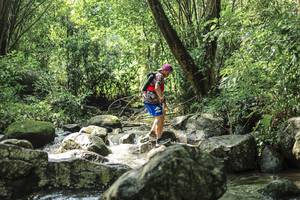 BIB: 
                            <button type="button" onclick="openModal(25104782)" class="btn btn-primary btn-sm float-right btn-popup" data-toggle="modal" data-target=".modal-high-quality">
                        <i class="fas fa-shopping-cart"></i> Add to Cart
                    </button>
                                            <button type="button" onclick="isThisMe(25104782, true)" class="btn btn-success btn-sm float-right btn-popup btn-isme hidden" data-toggle="tooltip" data-placement="bottom" title="นี่คือรูปของคุณใช่ไหม คลิกที่นี่เพื่อเอาเข้าอัลบั้ม">
                        <i class="fas fa-plus"></i> Add to album
                    </button>
                    <button type="button" onclick="isThisMe(25104782, false)" class="btn btn-warning btn-sm float-right btn-popup btn-isnotme hidden">
                        <i class="fas fa-ban"></i> Remove from album
                    </button>