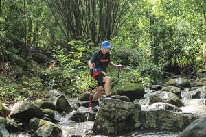 BIB: 
                            <button type="button" onclick="openModal(25105252)" class="btn btn-primary btn-sm float-right btn-popup" data-toggle="modal" data-target=".modal-high-quality">
                        <i class="fas fa-shopping-cart"></i> Add to Cart
                    </button>
                                            <button type="button" onclick="isThisMe(25105252, true)" class="btn btn-success btn-sm float-right btn-popup btn-isme hidden" data-toggle="tooltip" data-placement="bottom" title="นี่คือรูปของคุณใช่ไหม คลิกที่นี่เพื่อเอาเข้าอัลบั้ม">
                        <i class="fas fa-plus"></i> Add to album
                    </button>
                    <button type="button" onclick="isThisMe(25105252, false)" class="btn btn-warning btn-sm float-right btn-popup btn-isnotme hidden">
                        <i class="fas fa-ban"></i> Remove from album
                    </button>