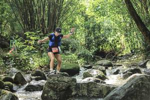 BIB: 
                            <button type="button" onclick="openModal(25105172)" class="btn btn-primary btn-sm float-right btn-popup" data-toggle="modal" data-target=".modal-high-quality">
                        <i class="fas fa-shopping-cart"></i> Add to Cart
                    </button>
                                            <button type="button" onclick="isThisMe(25105172, true)" class="btn btn-success btn-sm float-right btn-popup btn-isme hidden" data-toggle="tooltip" data-placement="bottom" title="นี่คือรูปของคุณใช่ไหม คลิกที่นี่เพื่อเอาเข้าอัลบั้ม">
                        <i class="fas fa-plus"></i> Add to album
                    </button>
                    <button type="button" onclick="isThisMe(25105172, false)" class="btn btn-warning btn-sm float-right btn-popup btn-isnotme hidden">
                        <i class="fas fa-ban"></i> Remove from album
                    </button>