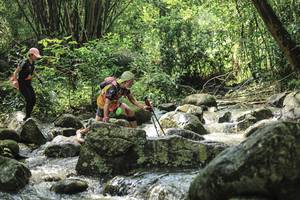 BIB: 
                            <button type="button" onclick="openModal(25104515)" class="btn btn-primary btn-sm float-right btn-popup" data-toggle="modal" data-target=".modal-high-quality">
                        <i class="fas fa-shopping-cart"></i> Add to Cart
                    </button>
                                            <button type="button" onclick="isThisMe(25104515, true)" class="btn btn-success btn-sm float-right btn-popup btn-isme hidden" data-toggle="tooltip" data-placement="bottom" title="นี่คือรูปของคุณใช่ไหม คลิกที่นี่เพื่อเอาเข้าอัลบั้ม">
                        <i class="fas fa-plus"></i> Add to album
                    </button>
                    <button type="button" onclick="isThisMe(25104515, false)" class="btn btn-warning btn-sm float-right btn-popup btn-isnotme hidden">
                        <i class="fas fa-ban"></i> Remove from album
                    </button>