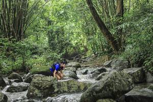 BIB: 
                            <button type="button" onclick="openModal(25102956)" class="btn btn-primary btn-sm float-right btn-popup" data-toggle="modal" data-target=".modal-high-quality">
                        <i class="fas fa-shopping-cart"></i> Add to Cart
                    </button>
                                            <button type="button" onclick="isThisMe(25102956, true)" class="btn btn-success btn-sm float-right btn-popup btn-isme hidden" data-toggle="tooltip" data-placement="bottom" title="นี่คือรูปของคุณใช่ไหม คลิกที่นี่เพื่อเอาเข้าอัลบั้ม">
                        <i class="fas fa-plus"></i> Add to album
                    </button>
                    <button type="button" onclick="isThisMe(25102956, false)" class="btn btn-warning btn-sm float-right btn-popup btn-isnotme hidden">
                        <i class="fas fa-ban"></i> Remove from album
                    </button>