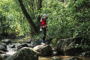 BIB: 
                            <button type="button" onclick="openModal(25105497)" class="btn btn-primary btn-sm float-right btn-popup" data-toggle="modal" data-target=".modal-high-quality">
                        <i class="fas fa-shopping-cart"></i> Add to Cart
                    </button>
                                            <button type="button" onclick="isThisMe(25105497, true)" class="btn btn-success btn-sm float-right btn-popup btn-isme hidden" data-toggle="tooltip" data-placement="bottom" title="นี่คือรูปของคุณใช่ไหม คลิกที่นี่เพื่อเอาเข้าอัลบั้ม">
                        <i class="fas fa-plus"></i> Add to album
                    </button>
                    <button type="button" onclick="isThisMe(25105497, false)" class="btn btn-warning btn-sm float-right btn-popup btn-isnotme hidden">
                        <i class="fas fa-ban"></i> Remove from album
                    </button>