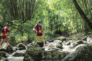 BIB: 
                            <button type="button" onclick="openModal(25104672)" class="btn btn-primary btn-sm float-right btn-popup" data-toggle="modal" data-target=".modal-high-quality">
                        <i class="fas fa-shopping-cart"></i> Add to Cart
                    </button>
                                            <button type="button" onclick="isThisMe(25104672, true)" class="btn btn-success btn-sm float-right btn-popup btn-isme hidden" data-toggle="tooltip" data-placement="bottom" title="นี่คือรูปของคุณใช่ไหม คลิกที่นี่เพื่อเอาเข้าอัลบั้ม">
                        <i class="fas fa-plus"></i> Add to album
                    </button>
                    <button type="button" onclick="isThisMe(25104672, false)" class="btn btn-warning btn-sm float-right btn-popup btn-isnotme hidden">
                        <i class="fas fa-ban"></i> Remove from album
                    </button>