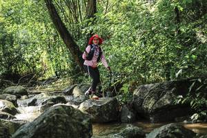 BIB: 
                            <button type="button" onclick="openModal(25105156)" class="btn btn-primary btn-sm float-right btn-popup" data-toggle="modal" data-target=".modal-high-quality">
                        <i class="fas fa-shopping-cart"></i> Add to Cart
                    </button>
                                            <button type="button" onclick="isThisMe(25105156, true)" class="btn btn-success btn-sm float-right btn-popup btn-isme hidden" data-toggle="tooltip" data-placement="bottom" title="นี่คือรูปของคุณใช่ไหม คลิกที่นี่เพื่อเอาเข้าอัลบั้ม">
                        <i class="fas fa-plus"></i> Add to album
                    </button>
                    <button type="button" onclick="isThisMe(25105156, false)" class="btn btn-warning btn-sm float-right btn-popup btn-isnotme hidden">
                        <i class="fas fa-ban"></i> Remove from album
                    </button>