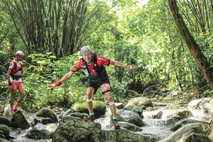 BIB: 
                            <button type="button" onclick="openModal(25103618)" class="btn btn-primary btn-sm float-right btn-popup" data-toggle="modal" data-target=".modal-high-quality">
                        <i class="fas fa-shopping-cart"></i> Add to Cart
                    </button>
                                            <button type="button" onclick="isThisMe(25103618, true)" class="btn btn-success btn-sm float-right btn-popup btn-isme hidden" data-toggle="tooltip" data-placement="bottom" title="นี่คือรูปของคุณใช่ไหม คลิกที่นี่เพื่อเอาเข้าอัลบั้ม">
                        <i class="fas fa-plus"></i> Add to album
                    </button>
                    <button type="button" onclick="isThisMe(25103618, false)" class="btn btn-warning btn-sm float-right btn-popup btn-isnotme hidden">
                        <i class="fas fa-ban"></i> Remove from album
                    </button>