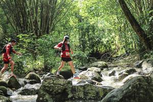 BIB: 
                            <button type="button" onclick="openModal(25104674)" class="btn btn-primary btn-sm float-right btn-popup" data-toggle="modal" data-target=".modal-high-quality">
                        <i class="fas fa-shopping-cart"></i> Add to Cart
                    </button>
                                            <button type="button" onclick="isThisMe(25104674, true)" class="btn btn-success btn-sm float-right btn-popup btn-isme hidden" data-toggle="tooltip" data-placement="bottom" title="นี่คือรูปของคุณใช่ไหม คลิกที่นี่เพื่อเอาเข้าอัลบั้ม">
                        <i class="fas fa-plus"></i> Add to album
                    </button>
                    <button type="button" onclick="isThisMe(25104674, false)" class="btn btn-warning btn-sm float-right btn-popup btn-isnotme hidden">
                        <i class="fas fa-ban"></i> Remove from album
                    </button>