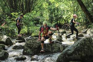 BIB: 
                            <button type="button" onclick="openModal(25104527)" class="btn btn-primary btn-sm float-right btn-popup" data-toggle="modal" data-target=".modal-high-quality">
                        <i class="fas fa-shopping-cart"></i> Add to Cart
                    </button>
                                            <button type="button" onclick="isThisMe(25104527, true)" class="btn btn-success btn-sm float-right btn-popup btn-isme hidden" data-toggle="tooltip" data-placement="bottom" title="นี่คือรูปของคุณใช่ไหม คลิกที่นี่เพื่อเอาเข้าอัลบั้ม">
                        <i class="fas fa-plus"></i> Add to album
                    </button>
                    <button type="button" onclick="isThisMe(25104527, false)" class="btn btn-warning btn-sm float-right btn-popup btn-isnotme hidden">
                        <i class="fas fa-ban"></i> Remove from album
                    </button>