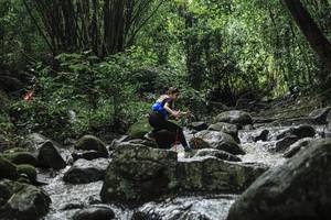 BIB: 
                            <button type="button" onclick="openModal(25105356)" class="btn btn-primary btn-sm float-right btn-popup" data-toggle="modal" data-target=".modal-high-quality">
                        <i class="fas fa-shopping-cart"></i> Add to Cart
                    </button>
                                            <button type="button" onclick="isThisMe(25105356, true)" class="btn btn-success btn-sm float-right btn-popup btn-isme hidden" data-toggle="tooltip" data-placement="bottom" title="นี่คือรูปของคุณใช่ไหม คลิกที่นี่เพื่อเอาเข้าอัลบั้ม">
                        <i class="fas fa-plus"></i> Add to album
                    </button>
                    <button type="button" onclick="isThisMe(25105356, false)" class="btn btn-warning btn-sm float-right btn-popup btn-isnotme hidden">
                        <i class="fas fa-ban"></i> Remove from album
                    </button>