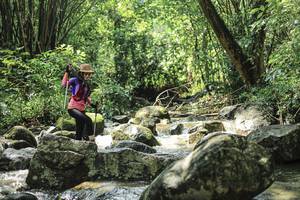 BIB: 
                            <button type="button" onclick="openModal(25104067)" class="btn btn-primary btn-sm float-right btn-popup" data-toggle="modal" data-target=".modal-high-quality">
                        <i class="fas fa-shopping-cart"></i> Add to Cart
                    </button>
                                            <button type="button" onclick="isThisMe(25104067, true)" class="btn btn-success btn-sm float-right btn-popup btn-isme hidden" data-toggle="tooltip" data-placement="bottom" title="นี่คือรูปของคุณใช่ไหม คลิกที่นี่เพื่อเอาเข้าอัลบั้ม">
                        <i class="fas fa-plus"></i> Add to album
                    </button>
                    <button type="button" onclick="isThisMe(25104067, false)" class="btn btn-warning btn-sm float-right btn-popup btn-isnotme hidden">
                        <i class="fas fa-ban"></i> Remove from album
                    </button>