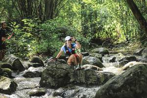 BIB: 
                            <button type="button" onclick="openModal(25105456)" class="btn btn-primary btn-sm float-right btn-popup" data-toggle="modal" data-target=".modal-high-quality">
                        <i class="fas fa-shopping-cart"></i> Add to Cart
                    </button>
                                            <button type="button" onclick="isThisMe(25105456, true)" class="btn btn-success btn-sm float-right btn-popup btn-isme hidden" data-toggle="tooltip" data-placement="bottom" title="นี่คือรูปของคุณใช่ไหม คลิกที่นี่เพื่อเอาเข้าอัลบั้ม">
                        <i class="fas fa-plus"></i> Add to album
                    </button>
                    <button type="button" onclick="isThisMe(25105456, false)" class="btn btn-warning btn-sm float-right btn-popup btn-isnotme hidden">
                        <i class="fas fa-ban"></i> Remove from album
                    </button>