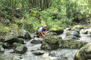 BIB: 
                            <button type="button" onclick="openModal(25103400)" class="btn btn-primary btn-sm float-right btn-popup" data-toggle="modal" data-target=".modal-high-quality">
                        <i class="fas fa-shopping-cart"></i> Add to Cart
                    </button>
                                            <button type="button" onclick="isThisMe(25103400, true)" class="btn btn-success btn-sm float-right btn-popup btn-isme hidden" data-toggle="tooltip" data-placement="bottom" title="นี่คือรูปของคุณใช่ไหม คลิกที่นี่เพื่อเอาเข้าอัลบั้ม">
                        <i class="fas fa-plus"></i> Add to album
                    </button>
                    <button type="button" onclick="isThisMe(25103400, false)" class="btn btn-warning btn-sm float-right btn-popup btn-isnotme hidden">
                        <i class="fas fa-ban"></i> Remove from album
                    </button>