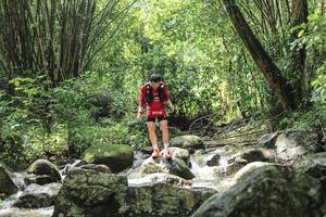 BIB: 
                            <button type="button" onclick="openModal(25104692)" class="btn btn-primary btn-sm float-right btn-popup" data-toggle="modal" data-target=".modal-high-quality">
                        <i class="fas fa-shopping-cart"></i> Add to Cart
                    </button>
                                            <button type="button" onclick="isThisMe(25104692, true)" class="btn btn-success btn-sm float-right btn-popup btn-isme hidden" data-toggle="tooltip" data-placement="bottom" title="นี่คือรูปของคุณใช่ไหม คลิกที่นี่เพื่อเอาเข้าอัลบั้ม">
                        <i class="fas fa-plus"></i> Add to album
                    </button>
                    <button type="button" onclick="isThisMe(25104692, false)" class="btn btn-warning btn-sm float-right btn-popup btn-isnotme hidden">
                        <i class="fas fa-ban"></i> Remove from album
                    </button>