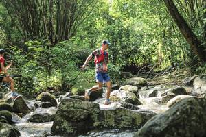 BIB: 
                            <button type="button" onclick="openModal(25104667)" class="btn btn-primary btn-sm float-right btn-popup" data-toggle="modal" data-target=".modal-high-quality">
                        <i class="fas fa-shopping-cart"></i> Add to Cart
                    </button>
                                            <button type="button" onclick="isThisMe(25104667, true)" class="btn btn-success btn-sm float-right btn-popup btn-isme hidden" data-toggle="tooltip" data-placement="bottom" title="นี่คือรูปของคุณใช่ไหม คลิกที่นี่เพื่อเอาเข้าอัลบั้ม">
                        <i class="fas fa-plus"></i> Add to album
                    </button>
                    <button type="button" onclick="isThisMe(25104667, false)" class="btn btn-warning btn-sm float-right btn-popup btn-isnotme hidden">
                        <i class="fas fa-ban"></i> Remove from album
                    </button>