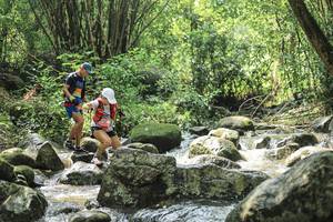 BIB: 
                            <button type="button" onclick="openModal(25104878)" class="btn btn-primary btn-sm float-right btn-popup" data-toggle="modal" data-target=".modal-high-quality">
                        <i class="fas fa-shopping-cart"></i> Add to Cart
                    </button>
                                            <button type="button" onclick="isThisMe(25104878, true)" class="btn btn-success btn-sm float-right btn-popup btn-isme hidden" data-toggle="tooltip" data-placement="bottom" title="นี่คือรูปของคุณใช่ไหม คลิกที่นี่เพื่อเอาเข้าอัลบั้ม">
                        <i class="fas fa-plus"></i> Add to album
                    </button>
                    <button type="button" onclick="isThisMe(25104878, false)" class="btn btn-warning btn-sm float-right btn-popup btn-isnotme hidden">
                        <i class="fas fa-ban"></i> Remove from album
                    </button>