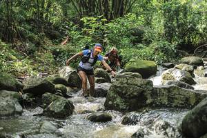 BIB: 
                            <button type="button" onclick="openModal(25104469)" class="btn btn-primary btn-sm float-right btn-popup" data-toggle="modal" data-target=".modal-high-quality">
                        <i class="fas fa-shopping-cart"></i> Add to Cart
                    </button>
                                            <button type="button" onclick="isThisMe(25104469, true)" class="btn btn-success btn-sm float-right btn-popup btn-isme hidden" data-toggle="tooltip" data-placement="bottom" title="นี่คือรูปของคุณใช่ไหม คลิกที่นี่เพื่อเอาเข้าอัลบั้ม">
                        <i class="fas fa-plus"></i> Add to album
                    </button>
                    <button type="button" onclick="isThisMe(25104469, false)" class="btn btn-warning btn-sm float-right btn-popup btn-isnotme hidden">
                        <i class="fas fa-ban"></i> Remove from album
                    </button>