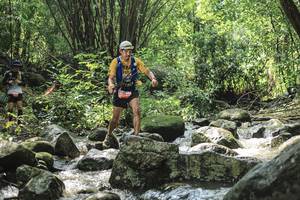 BIB: 
                            <button type="button" onclick="openModal(25105069)" class="btn btn-primary btn-sm float-right btn-popup" data-toggle="modal" data-target=".modal-high-quality">
                        <i class="fas fa-shopping-cart"></i> Add to Cart
                    </button>
                                            <button type="button" onclick="isThisMe(25105069, true)" class="btn btn-success btn-sm float-right btn-popup btn-isme hidden" data-toggle="tooltip" data-placement="bottom" title="นี่คือรูปของคุณใช่ไหม คลิกที่นี่เพื่อเอาเข้าอัลบั้ม">
                        <i class="fas fa-plus"></i> Add to album
                    </button>
                    <button type="button" onclick="isThisMe(25105069, false)" class="btn btn-warning btn-sm float-right btn-popup btn-isnotme hidden">
                        <i class="fas fa-ban"></i> Remove from album
                    </button>